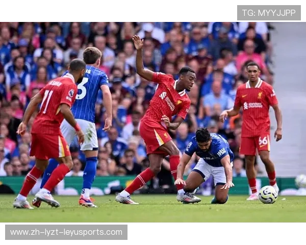 英超球队的身份与排名分析及其历史回顾